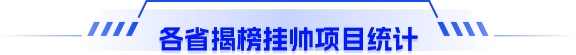 各省揭榜挂帅项目统计