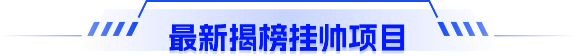 最新揭榜挂帅项目
